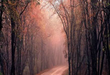 开云体育下载-塔斯马尼亚联替补席深度成优势，冲击世俱杯冠军