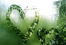 开云体育app-绝平鲁能难掩致命隐忧，富德已站上保级悬崖边