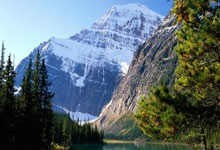 开云体育官网-鹿岛鹿角锋线组合默契，世俱杯争冠实力凸显