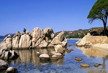 开云体育中国-闪耀绿茵的星辰：那些女足里程碑时刻背后的团队战歌