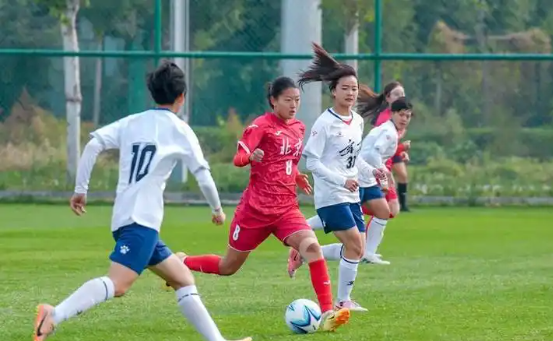 开云官网-包含场上的风云人物：女足明星们的荣耀时刻的词条