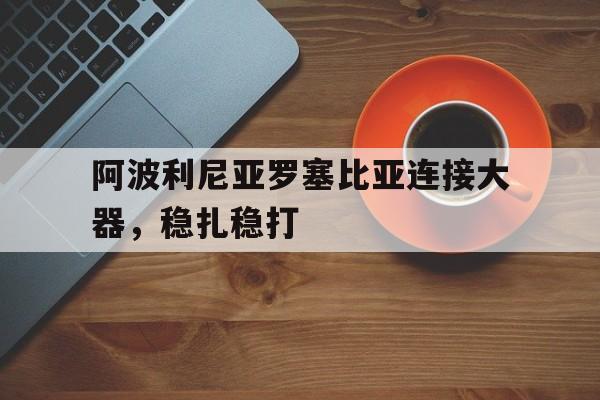 开云平台-阿波利尼亚罗塞比亚连接大器，稳扎稳打