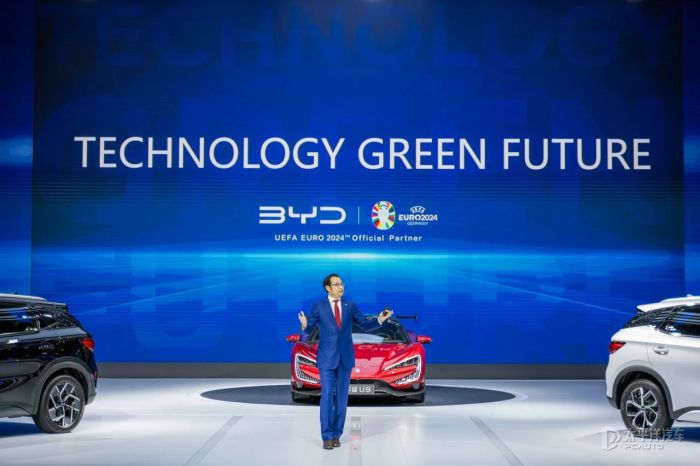 泰国代表团彰显实力，夺得亮眼成绩