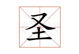 开云体育官网-圣特隆普主场告捷，稳固后防