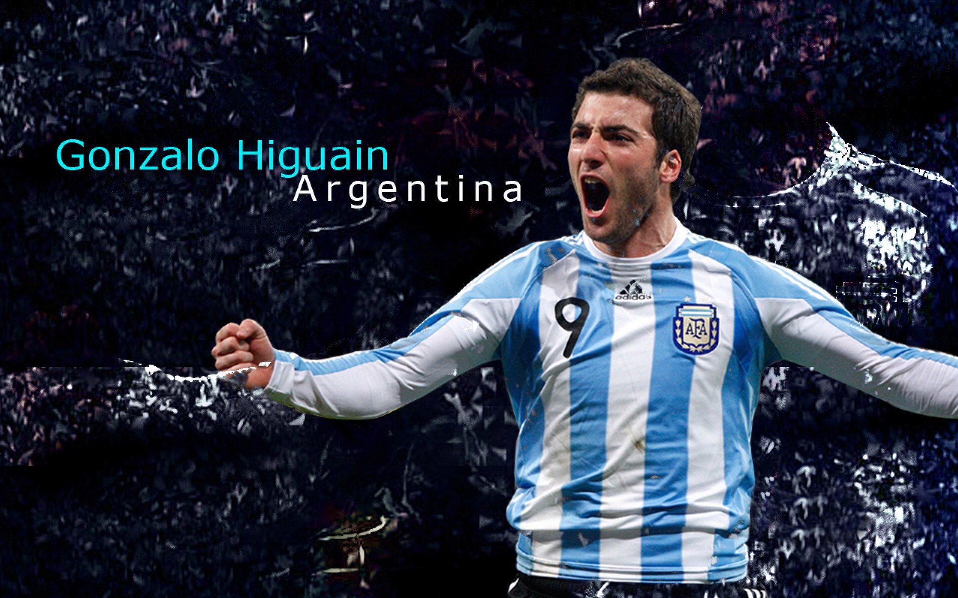 红与蓝的鏖战,当新锐刺破传统的壁垒